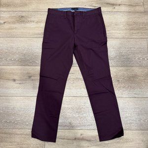 Banana Republic Fulton Chino Skinny Fit (Burgundy/Purple)